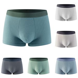 Onderbroeken Herenslipjes Mannelijke boxers Katoenen ondergoed Platte broek U bolle zak Comfortabel ademend Grote maat L-4XL