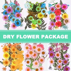 Decorative Flowers Pressed Flower Mixed Dried DIY Art Floral Decors Collection Gift Craft JS22