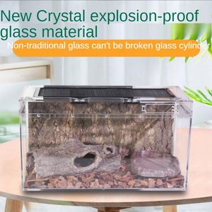 Terrariums reptilglasstank kryper för att skydda palatset ödla spindel skorpion sköldpadda horn groda livsmiljö krabba reptil utfodringslåda