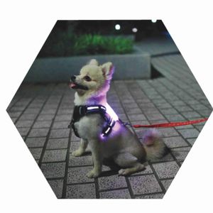 Pettorine CC Simon Usb Ricaricabile Multicolor Led Pettorina per cani collare per cani a led