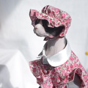 Clothing Cat shirt Summer thin pet dress Floral dress Sphinx hairless cat hat a set of cat outfit