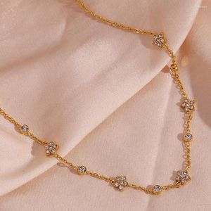 Kedjor Fashion Splice Flower Rounded Zircon Chain Halsband för kvinnor Rostfritt stål Tarnish Free Gold Color Simple Jewerly