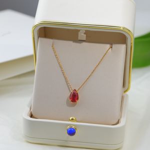 Light Luxury Jewelry 925 Silver Necklace Women's Classical Mozanbi Garnet Pendant Collar Chain Neckchain