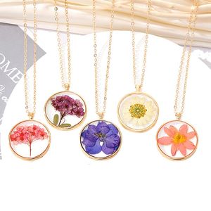 Natürliche getrocknete Blumen-Anhänger-Halsketten für Frauen, transparente Harz-Glaskugel, echte trockene Blume, runde Halsketten, Schmuck