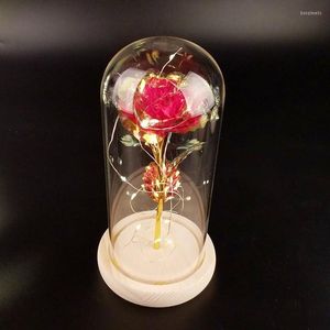 Dekorative Blumen Konservierte Rose Glasabdeckung Goldfolie Blume In Galaxy LED Licht Künstliches Weihnachts-Valentinsgeschenk für Mädchen