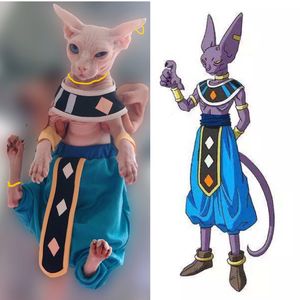 髪のない衣装猫スフィンクスの服コスプレドラゴンザ・デストロイヤービーラスケープクロッチパンツアニメペットコスチューム