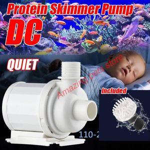 Zubehör 110 V 220 V Nadelrad-Bürstenrotorpumpe, spezielles Design für Protein-Skimmer, DC, Salzwasser, Marine, Korallenriff, Meeresfilter-Skimmer