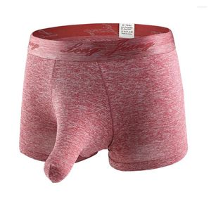 Caleçon sous-vêtements hommes Boxer Sexy doux nez d'éléphant culotte Short mince Qucik-Dry Slip