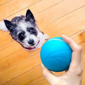 Toys Wickedball Wicked Ball Yeni Ürün En İyi Satış Dayanıklı Pet Etkileşimli Çiğneme Oyuncak Seti Köpek ve Kedi Oyuncak