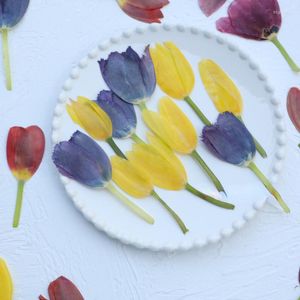 Decorative Flowers 6-10cm/2PCS Pressed Tulip Real Bookmark Sticker DIY FLOWER Material Bag Wedding Invitation Holiday Greeting Card Decor