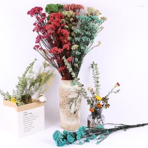 Decorative Flowers Wholesale Natural Dried Fresh Preserved Millet Flower Bouquet Floral Arrangement Home Wedding INS Decoration Eternal Dry