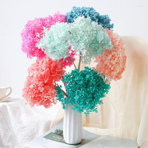 Decorative Flowers 1Bunch Dried Flower Nature Preserved Hydrangea With Stem Pograph Home Desktop Accessories Garden Easter Party Decoration