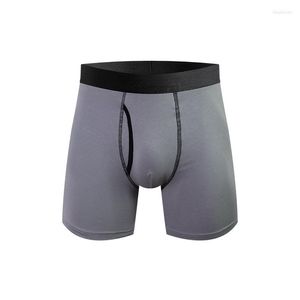 Mutande Gamba lunga Boxer Mutandine Uomo Homme Biancheria intima di cotone per boxer Sexy Calecon Marca maschile M-3XL