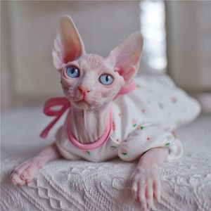 Abiti Sphynx Cat Outfits fiore Abiti con maniche a sbuffo alla fragola carini per gatti Vestiti per gatti senza peli Gonna sottile senza maniche estiva