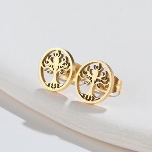 Stud Earrings Gold Color Music Notes Stainless Steel Musical Fans Tree Of Life Leaf For Women Sweet Fruit Funny Jewelry 2023
