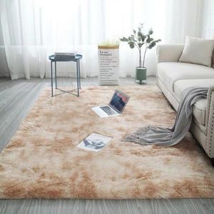 Carpets Modern Home Decoration Nordic Style Simple Thicken Carpet In The Living Room Soft Velvet Cushion