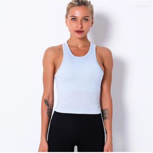 Canottiere da donna di alta qualità a coste allenamento fitness palestra crop top gilet da donna push up imbottito allenamento reggiseni sportivi pelle ultra sottile garm