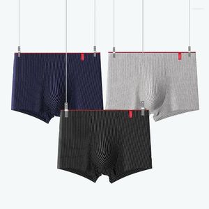 Mutande 3 Pz/lotto Uomini Sexy Mutandine A Righe Boxer Shorts Intimo Lingerie Boxer Moda Boxer Slip