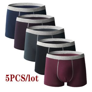 Underpants 5pcslot Men Underwear Boxer Homme Boxershorts Men Underpants Boxer Shorts Men Panties Breathable Boxer Homme Cotton Comfort 230503