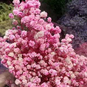 Dekorativa blommor rosa vit röd lila gul orange himmel blå naturlig torkad riktigt blomma gipsfila för bröllop heminredning hår grossist