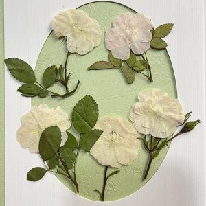 Flores decorativas Pressionada Flor de rosa branca seca com herbário de folhas de haste para unhas maquiagem de jóias