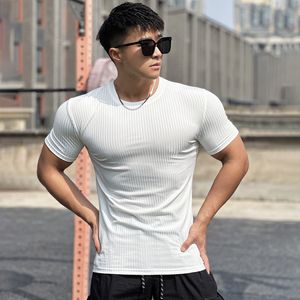 T-shirt da uomo Estate sottile casual T-shirt da uomo a righe Asciugatura rapida Moda Girocollo Manica corta Top Jogger Fitness T-shirt sportiva 230504