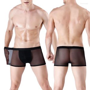 MUITAS PONTAS 2023 boxeadores masculinos transparentes Bulge seda de gelo, veja através de homens de calcinha baixa de calcinha baixa lingerie de lingerie sugestões