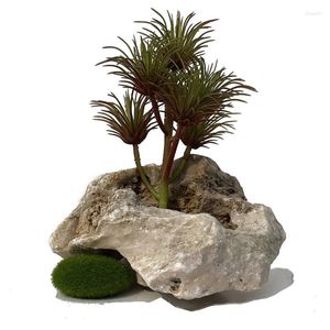 Dekoratif çiçekler simüle etli bitkiler bonsai geniş yapraklı epifyllum flowerpot doğal yapay çiçek barbados aloe