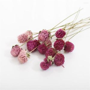 装飾的な花15pcsクリスマス装飾ゴンプレナブーケ乾燥自然の花の束は花瓶なし