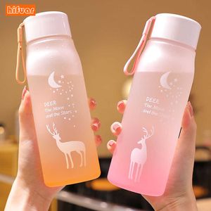 water bottle Water Bottle Frosted With Straw Plastic Cup Sports Cup Plastic Gradient Outdoor Sport Water Bottle Cup 560ml P230324