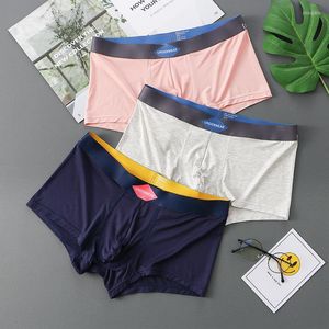 Underbyxor smart-menmode 3st modal trosor boxare underkläder män underkläder sexig penispåse man mjuk boxershorts hög elastisk