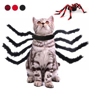 Klädhalloween julkista baksida husdjur kassan tillbaka kreativ för katter liten hund spindel transformation cosplay kostym