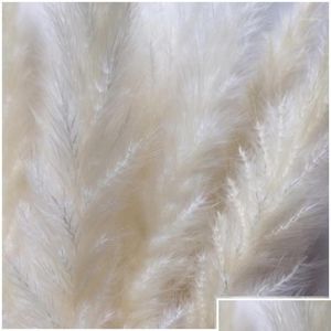 Flores decorativas grinaldas 15pcs escova natural pequeno pampas pamas phragmites flor bando 3 cores para decoração de casa1 d dhkzh d dhkyw