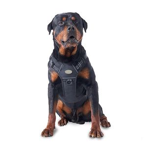 Leases Tactical Dog Harness Militärtjänst Justerbar hund Harness No Pull Multifunction Training pooch väst för medelstora till stora husdjur