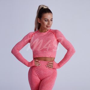 Outfits Ensemble Female 2 Pieces Yoga Set Women Seamless Thumb Hole Gym Workout Fiess Clothes Sportswear Long Sleeve Crop Top Leggings 2L30506 Hot Sale