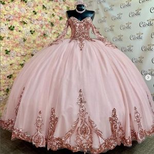 Quinceanera klänningar prinsessa rosa långärmad applikationer bollklänning älskling snörning med tyll plus size sweet 16 debutante fest födelsedag vestidos de 15 anos 102