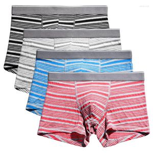 Underpants 4xl Men Boxers Men Boxers Cotton Modal Striped Four Horns Beargy Beargy Hombres Shorts Boxer Knickers Boxeador Top Caffenge U859