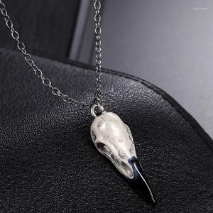 Pendant Necklaces Vintage Gothic Goth Punk Viking 3D Raven Crow Skull Necklace For Men Women Retro Collar Collier Wicca Neck Chain Jewelry