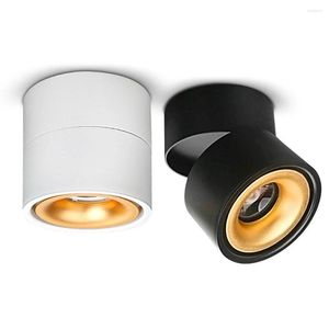 Taklampor LED -ljusfläck plafond downlight ytkolv dimbar 15W 20W lampor AC110 220V rum rund sovrum 2 år kök