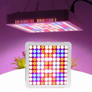 1000W LED GROW Light Full Spectrum Phytolamp med växttillväxtlampa för inomhushydroponiska växter Veg and Bloom