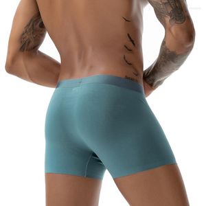 Underpants Wholesale 2023 High Quality Men's Underwear Seamless 50s Modal Mid-waist Breathable Soft Solid Color Boxer Sexy