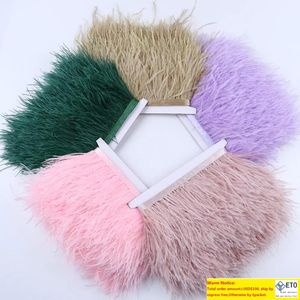 Party Decoration Multicolor Real Ostrich feather Trims RibbonWhite Ostrich for Dress Clothing Decorations Sewing feathers Crafts