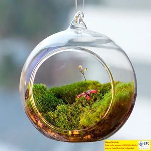 Terraryum Peyzaj Cam Ransparent Ball Şekli Temiz Asılı Cam Vazo Çiçek Bitkileri Terraryum Konteyner Mikro DIY