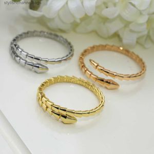 Bangle Light Luksusowa bransoletka w serpowych srebro z niezadeformowaną otwierającą podwójną bransoletkę Pierścień Multi Loop Overlay Personalizowane zużycie