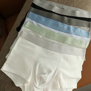 Underpants Pure cotton Graphene boxers men Underwear adult plus size simple male underwear boxers men NS0189 230508