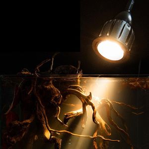 Lightings Led Akvaryum Işık Tam Spektrum Kobu Balık tankı Peyzaj Diken Akvaryumlar İçin SPOTLIGHT Small/Nano Tankları Terrarium Dekor