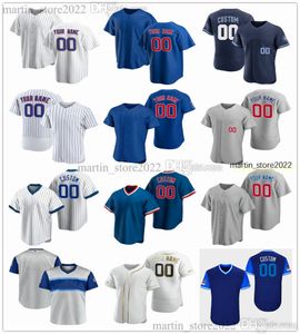 Camisas de beisebol 30 Edwin Rios 88 Kevin Alcantara 80 Alexander Canario 94 Brennen Davis 5 Christopher Morel 38 Mark Leiter Jr. 23 Ryne Sandberg Ernie Banks Andre Dawson