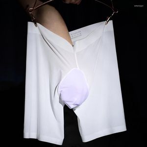 Underpants U Convex Pouch Boxers Underwear 50-100kg Silicon Penis Sheath Open Calzoncillo Mens See Through Sexy Boxershorts