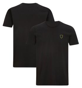 F1 fórmula um equipe camisa polo terno de corrida camiseta 2023 nova equipe masculina manga curta roupas de trabalho personalizado tamanho grande