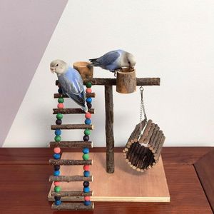 Toys Bird Toy Activity Parrot Play Stand med matare Cup Pet Training Climbing Ladder Bird Cage Decoration Träövnings Gym Hållare